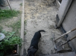 COOLPIX S1200pj, T:10/300, A:f/3.9, P:2, ISO100, F:50mm, EV:0 <br />10.06.2014 -  19:38:32